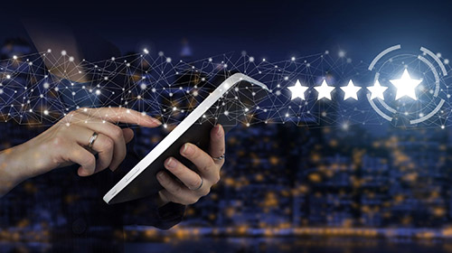 东安财产/背景调查